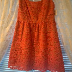 Elegant  short cocktail  lace dress. New with tags.